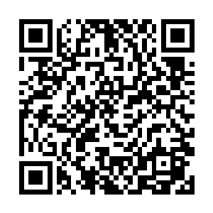 所以施策尔相信最后黛玻菈一定会给自己打电话来的二维码生成