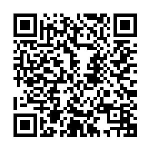 所以无法一眼就判断这一具骸骨并非这个世界上的任何一个物种二维码生成
