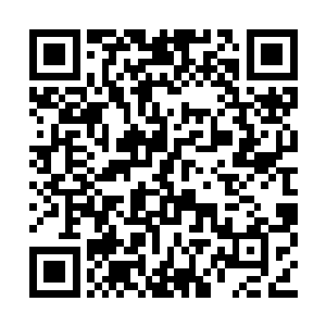 所以早就做好逃脱的准备就只留下了无间降落伞二维码生成