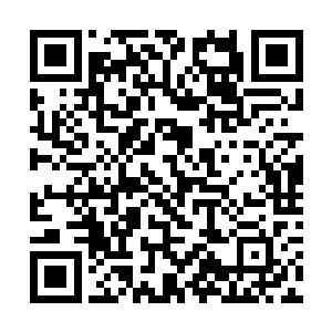 所以星空兽陨落了之后孕育出一个后代没什么不可能二维码生成