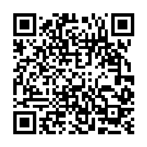 所以星陨不灭体属于用一次就要休息一段时日的拼命法门二维码生成