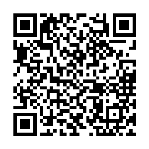 所以暂时使用原先那套低端软件代为托管整个系统二维码生成