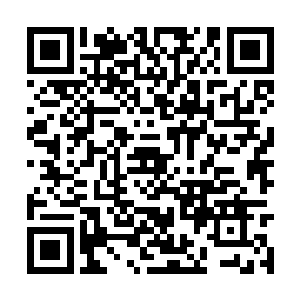 所以暂时由林氏集团的张秘书负责送林欣悦回学校二维码生成