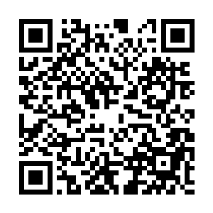 所以暖玉他们才会这么对着两个可爱的小宝贝问着二维码生成