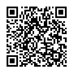 所以暖玉他们根本就不知道叶秋已经学会了做饭二维码生成