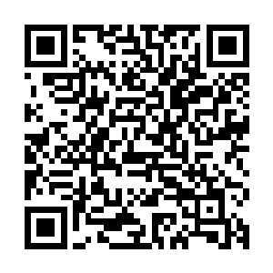 所以最合理的解释就是对手将目标放在林欣悦身上是近段时间的二维码生成
