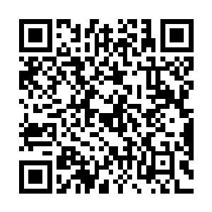 所以有了动力朱家三兄弟的工作热情也变得无比的高昂二维码生成