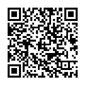 所以有些事和林春晓说说比和司嘉仪说要管用的多二维码生成