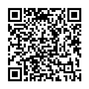 所以木戮才想要让家主去外面给他找一个厉害些的制药师二维码生成