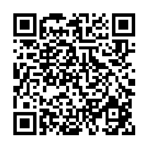 所以杜海琼和沈丽缇瞪大了眼睛盯着夏云杰打量二维码生成