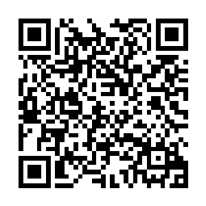 所以来到这里的很多媒体并不知道海天集团的具体情况二维码生成