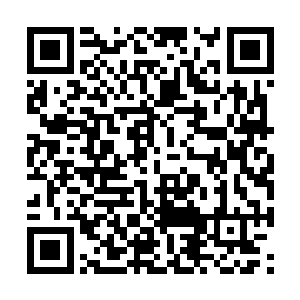 所以杨晨觉得是不是因为应该再给小猴子再尝一次二维码生成