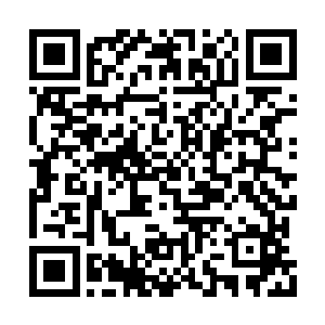 所以杨眉才会接连给卢向东写了两封信索要照片二维码生成