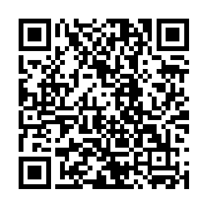 所以杨锐本身是不在乎克隆突变基因是他做出来的二维码生成