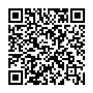 所以果断地要求东城区公安分局刑警大队采取跟踪措施二维码生成