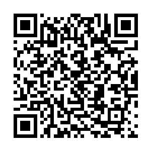 所以枪哥才会判断杀手可能会等到我们回到他的家里之后二维码生成