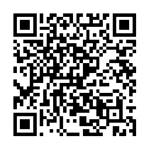 所以梓箐也就不好高骛远的觉得自己是来拯救世界二维码生成