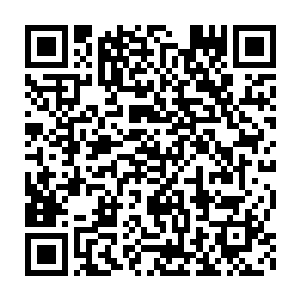 所以梓箐在确认了自己现在在王家的地位至少在回门前一个月还算稳当二维码生成