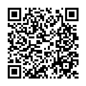 所以梓箐打算先将一切都准备好再跟唐洪运和蔡晓二维码生成