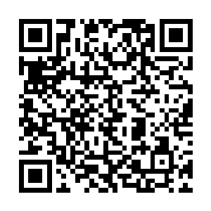 所以梓箐是彻底断绝了想走玩家建立帮会城郭的想法二维码生成