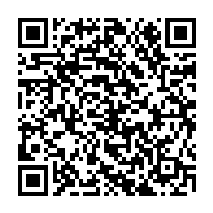 所以梓箐更希望在那些全株的灵药以及种子的灵药中寻找自己农场中没有的二维码生成