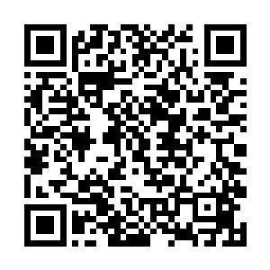 所以梓箐现在心情非常平静地做着看似很血腥的事情二维码生成