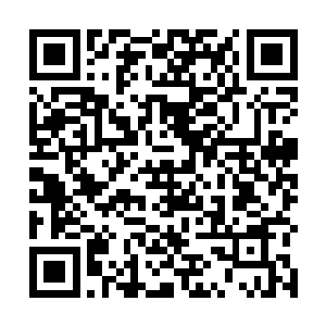 所以欧阳若离大喝流年等人很是聪明的选择了堵在门口二维码生成
