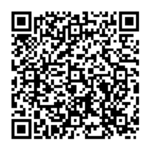 所以此刻也总算是理解为什么那些来救人的装甲车旁边还有荷枪实弹的护卫者们压阵二维码生成