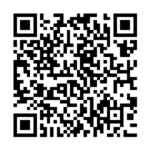 所以此刻他也终于搞清楚了这所谓的鬼王令到底是个什么东西二维码生成