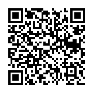 所以此刻在斗战胜佛全力催动的音波秘法轰击之下二维码生成