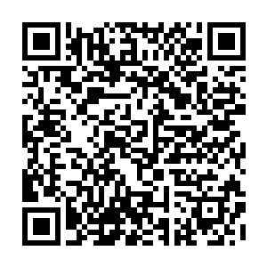 所以此刻杨晨身上还有八张威力和之前对付渡劫期干尸差不多的符篆存在二维码生成