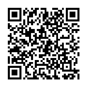 所以此时他们将全部的精力都集中到了魔王身上二维码生成