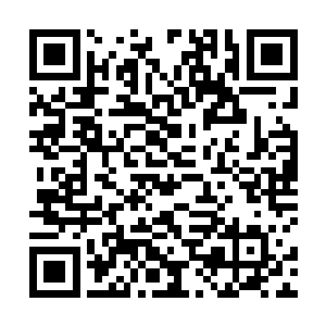 所以此时土依水和剑无虚两个人已经一只脚迈进了圣级二维码生成