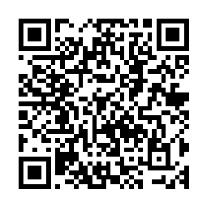 所以此时广令公乐呵呵看着下面那些孙女辈的和婢女们玩耍时二维码生成