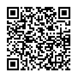 所以此时浦元大师看向李锐的目光中满是欣慰和赞赏二维码生成