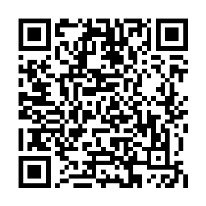 所以此时看到自己的偶像居然被人打成这个样子二维码生成