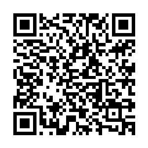 所以此番配对并没有太多的槽点……反正怎么配都是强强对决二维码生成