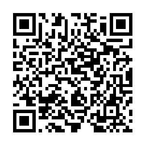 所以殊羿算是他来到这个世界看到的第一个真正的同性恋者二维码生成