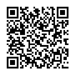 所以每年都有无数的机械师前往这里亲吻她的雕像脚趾二维码生成