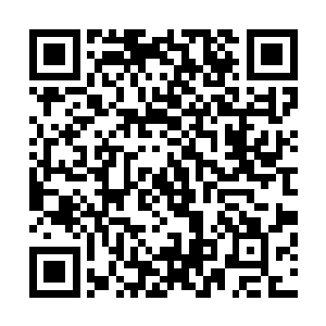 所以每次天空拍卖场那足以容纳近万人的场地都是座无虚席二维码生成
