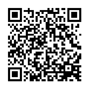 所以每颗养颜丹我们只能得到两百天演石的辛苦费……二维码生成