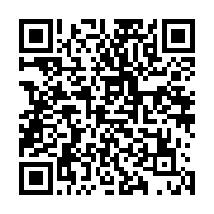 所以比其他人更加清楚境界虽然是决定实力强弱的重要因素二维码生成