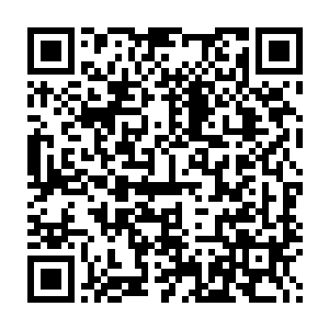 所以没有了虎魄刀在手的楚旬也只能用另外一种方式来进行战斗了二维码生成