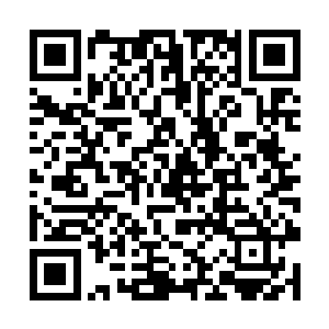 所以洪涛也愿意帮助她尽快的适应中国的环境和文化二维码生成