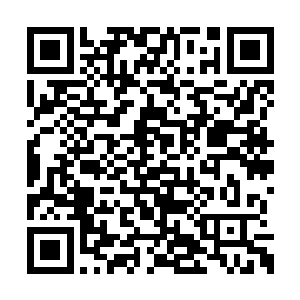 所以流墨墨查看蓝柯记忆的时候直接被她忽略了二维码生成