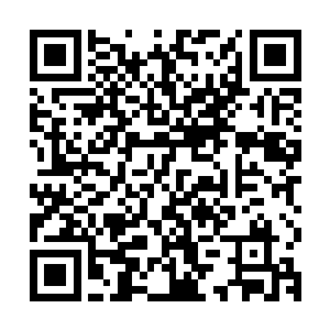 所以混合制的兼容并包的多种经济组织形式一起存在并相互竞争二维码生成
