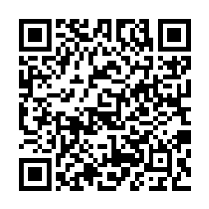 所以炼丹师的修为相对于自身炼丹术的等级来说都不会太高二维码生成