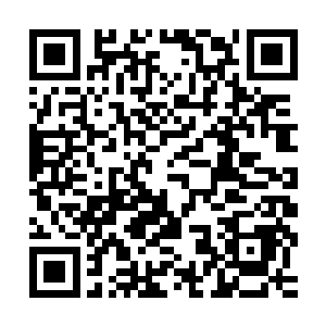 所以熊孩子等人主要凝练的大周天星辰幡也是对应了当年那鸿蒙二维码生成