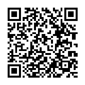 所以燕山魂根本就不能够用一个圣级八层后期巅峰的水准去看他二维码生成