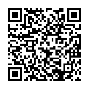 所以玉藻前这免疫陷阱的怪兽无法被选为目标之一二维码生成